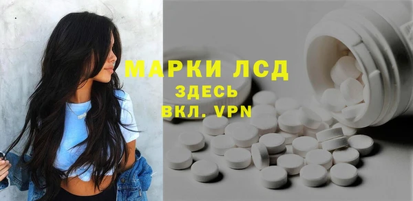 PSILOCYBIN Алзамай