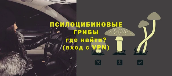 PSILOCYBIN Алзамай
