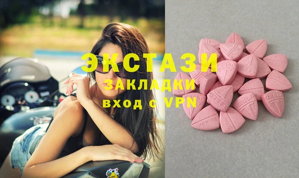 PSILOCYBIN Алзамай