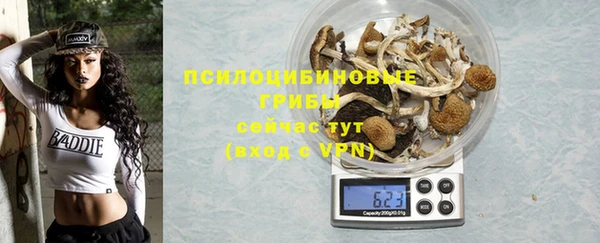 PSILOCYBIN Алзамай